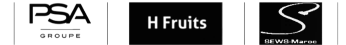 Partenaires d’Ironlog : Gruppo Proma, PSA Group, Swiss Distribution, Euro System, H Fruits, Leaderfood, Sewes Maroc, Hitek Logistic et Driscoll&amp;#39;s. Ironlog assure le transport de marchandises au Maroc et à l’international avec fiabilité, rapidité et suivi logistique professionnel.